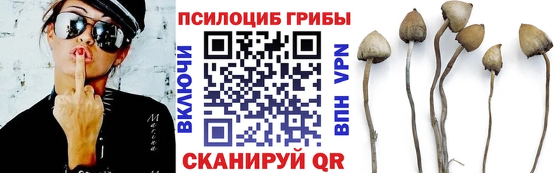Псилоцибиновые грибы прущие грибы Ликино-Дулёво